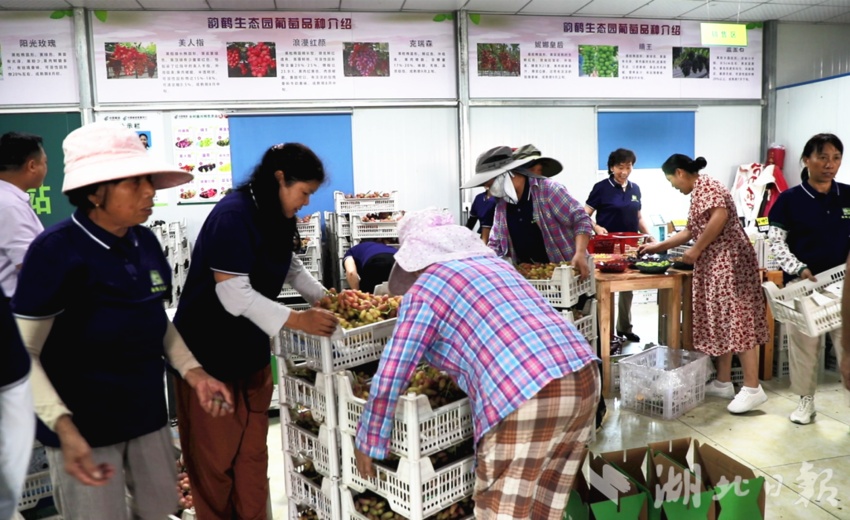 金沙连环夺宝手机下载